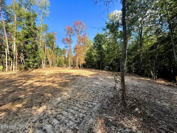 55 Pleasant Hill Road, Ten Mile, TN 37880