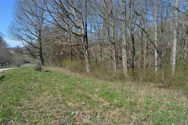 12 County Road 321, Niota, TN 37826