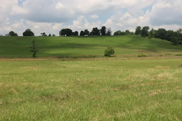 5 County Road 461, Englewood, TN 37329