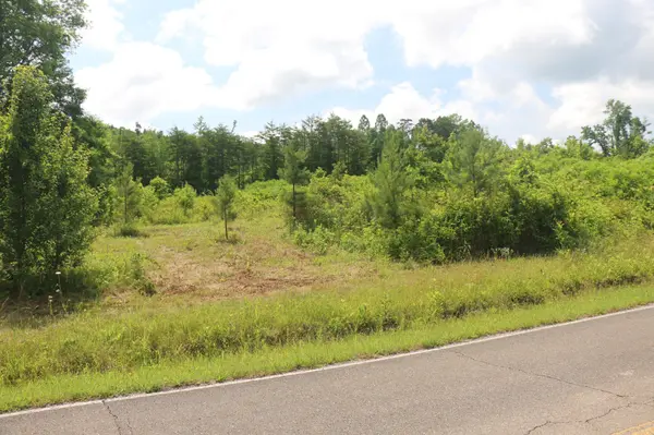2 N Nopone Valley Road, Decatur, TN 37322