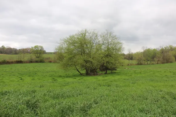 551 Campground Road, Madisonville, TN 37354