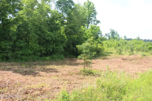1 N Nopone Valley Rd, Decatur, TN 37322