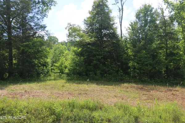 1 N Nopone Valley Rd, Decatur, TN 37322