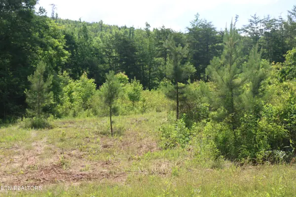 2 N Nopone Valley Rd, Decatur, TN 37322