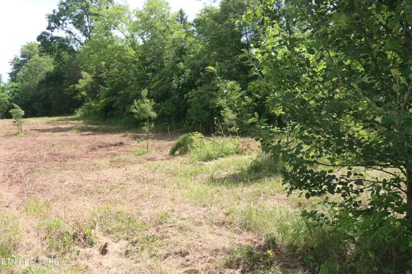 2 N Nopone Valley Rd, Decatur, TN 37322