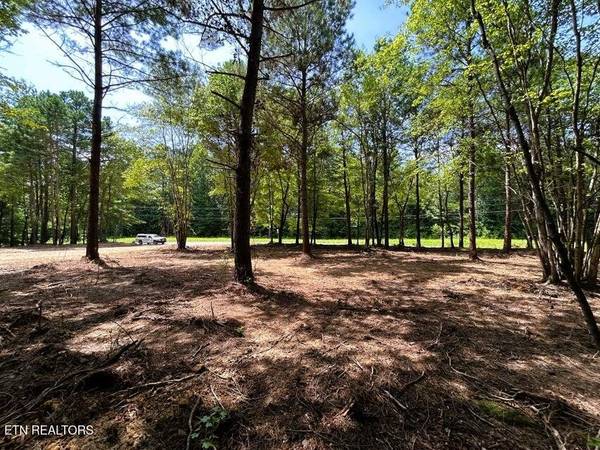 34 State Highway 304, Ten Mile, TN 37880