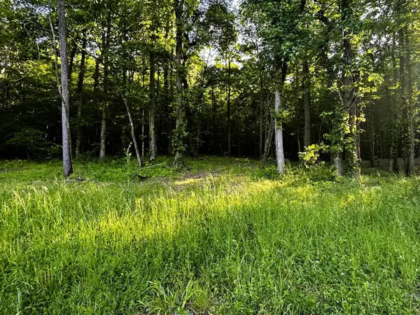 9 Pleasant Hill Road, Ten Mile, TN 37880