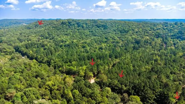 34 State Highway 304, Ten Mile, TN 37880