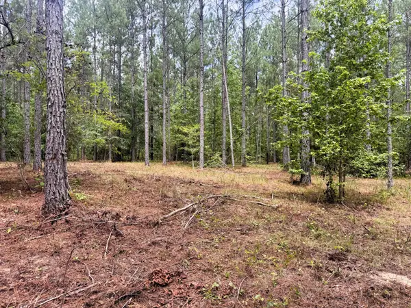 27 Charles Road, Decatur, TN 37322