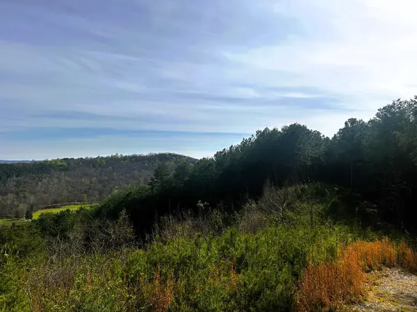 7 SW Owl Hollow Road, Mc Donald, TN 37353