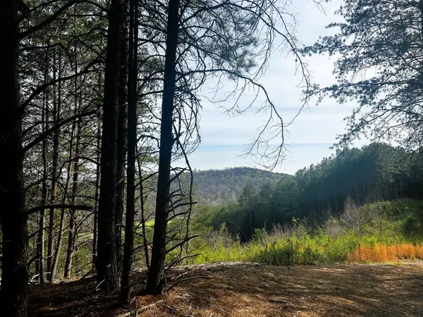 7 SW Owl Hollow Road, Mc Donald, TN 37353