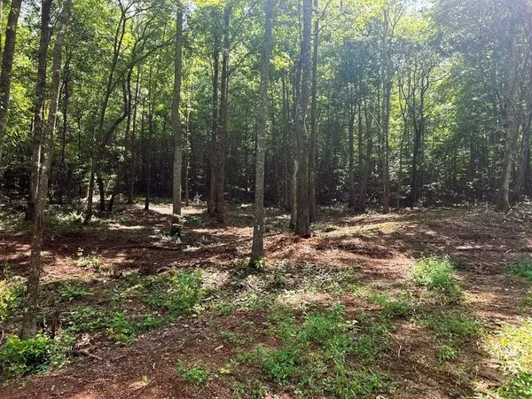 8 Pleasant Hill Road, Ten Mile, TN 37880