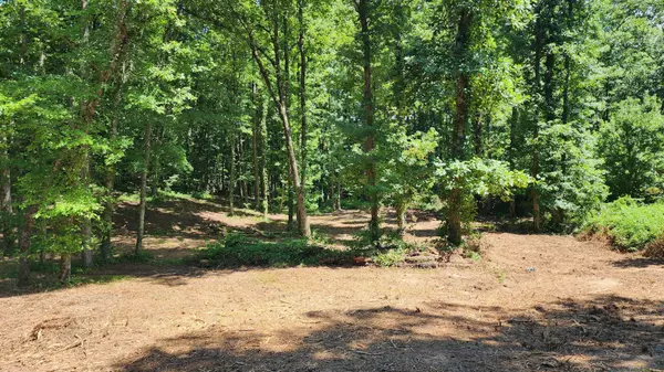 375 Goins Hill Road, Ten Mile, TN 37880