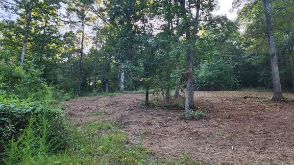 375 Goins Hill Road, Ten Mile, TN 37880