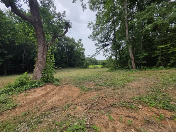 13 Shellsford Rd, Mcminnville, TN 37110