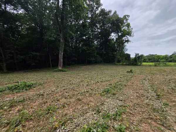 6 Shellsford Rd, Mcminnville, TN 37110