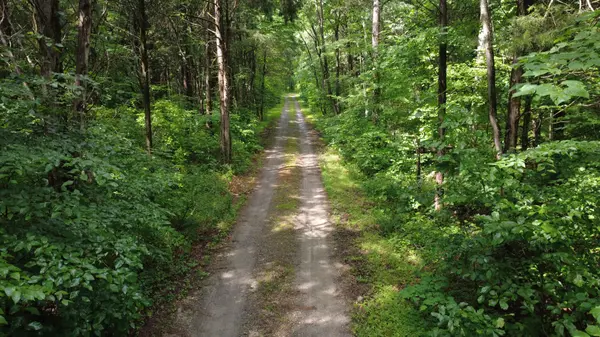 7075 Pinewood Rd, Nunnelly, TN 37137