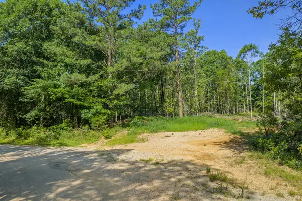 0 Green Hatley Branch Rd, Holladay, TN 38341