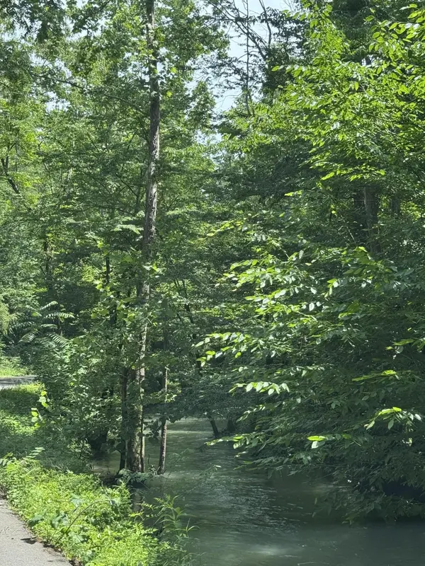 2784 Fiery Gizzard Road, South Pittsburg, TN 37380