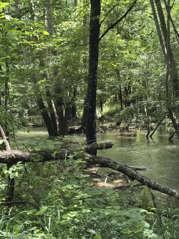 2784 Fiery Gizzard Road, South Pittsburg, TN 37380