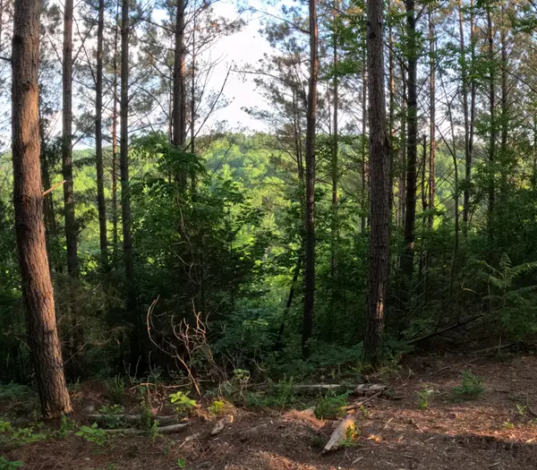 1882 Hillbrook Dr, Linden, TN 37096