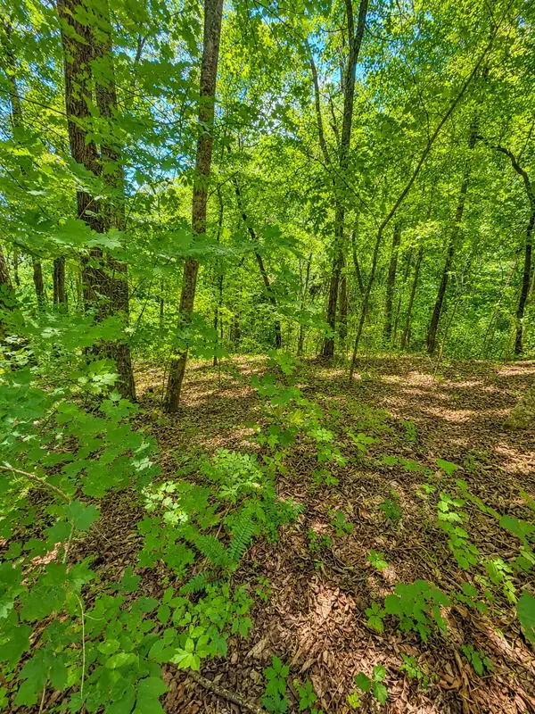 0 Woodcrest Dr, Smithville, TN 37166