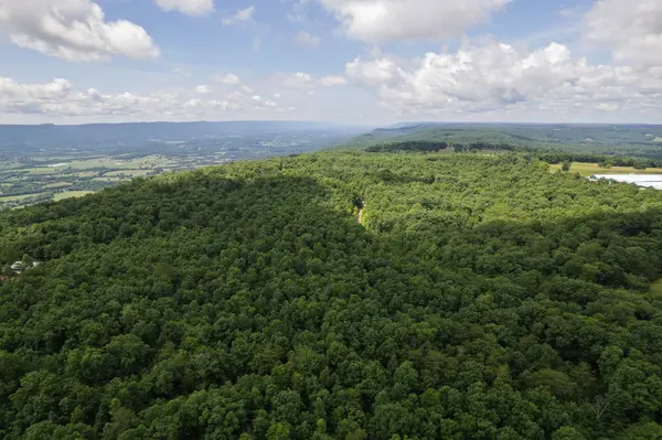 1 Maple Drive, Pikeville, TN 37367