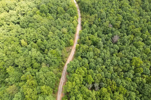 1 Maple Drive, Pikeville, TN 37367