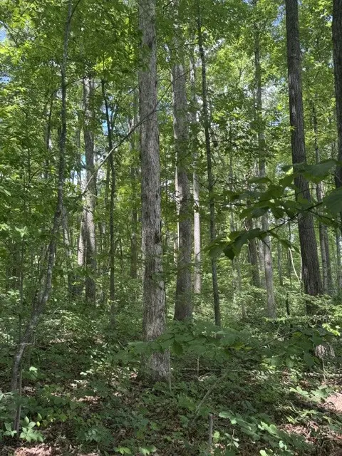 0 East Fork Ln, Crawford, TN 38554