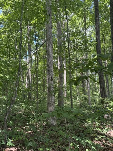 0 East Fork Ln, Crawford, TN 38554