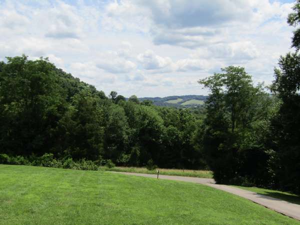 1296 Coosie Branch Rd, Cornersville, TN 37047