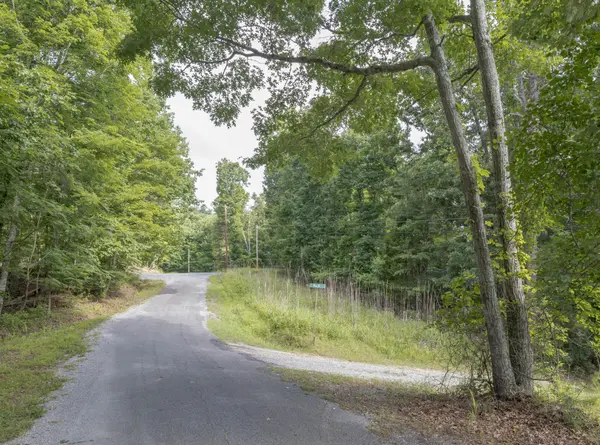 165 Maple Drive, Spring City, TN 37381