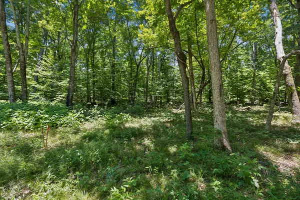 9346 Christiana Fosterville Rd, Christiana, TN 37037