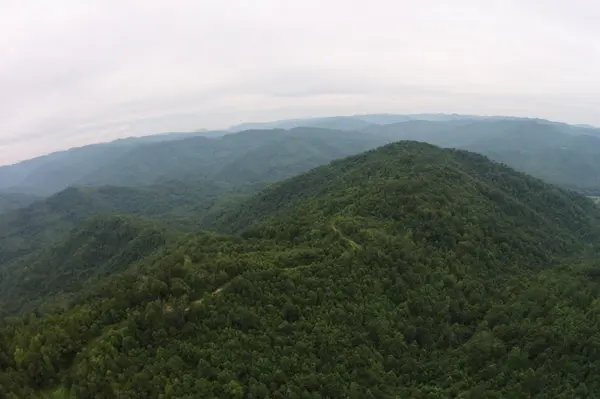 2 Straight Fork Road, Huntsville, TN 37756