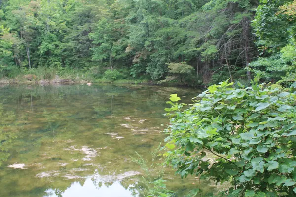 2 Straight Fork Road, Huntsville, TN 37756