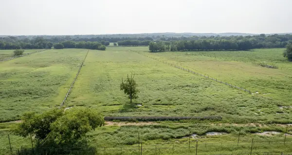 3008 Luke Moser Rd, Columbia, TN 38401