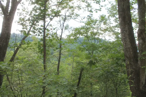 3 Straight Fork Road, Huntsville, TN 37756