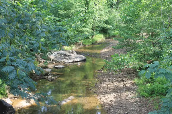3 Straight Fork Road, Huntsville, TN 37756