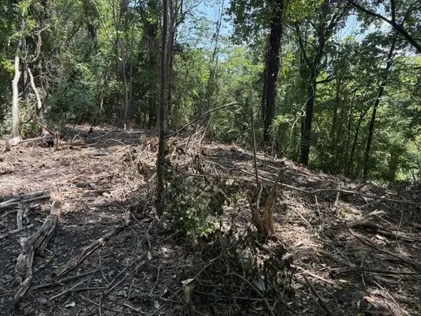 163 Dal Brown Road, Chattanooga, TN 37405
