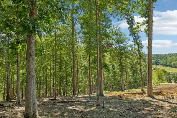 0 Axis Ridge, Joelton, TN 37080