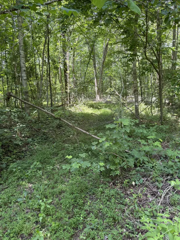 0 Wilderness Lane, Lafayette, TN 37083