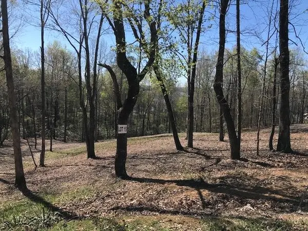 15 Piney View Drive, Spring City, TN 37381