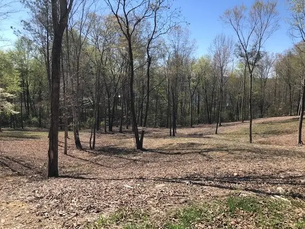 16 Piney View Drive, Spring City, TN 37381