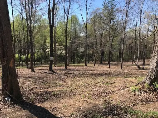 17 Piney View Drive, Spring City, TN 37381