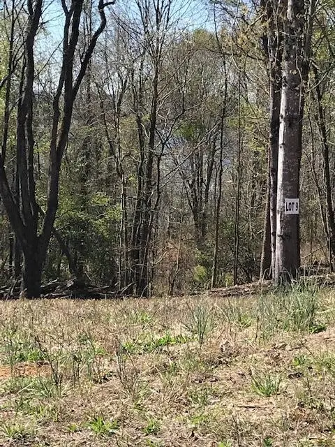 9 Piney View Drive, Spring City, TN 37381