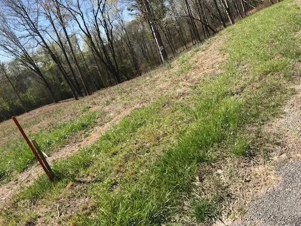 9 Piney View Drive, Spring City, TN 37381
