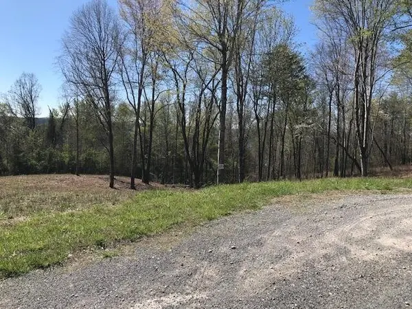 9 Piney View Drive, Spring City, TN 37381