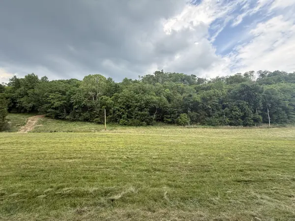 0 Hurricane Branch Lane, Gainesboro, TN 38562