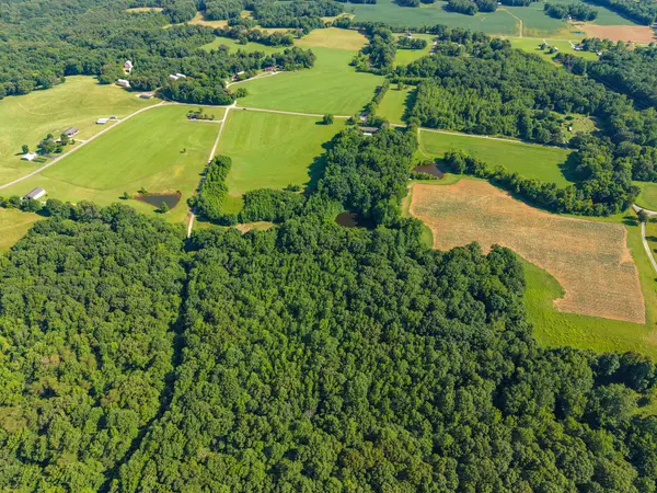 3 Poplar Ridge Rd, Chapmansboro, TN 37035