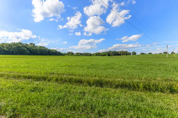 5 Poplar Ridge Rd, Chapmansboro, TN 37035